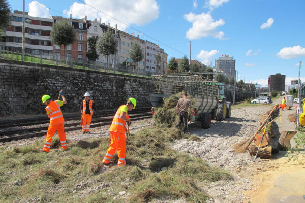 ms-gartenservice-biel-benken-naturschutz-entlang-bahnlinie