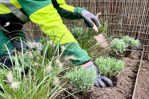 ms-gartenservice-biel-benken-unterhalt-und-pflege-08