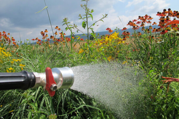 ms-gartenservice-unterhalt-und-pflege-waessern